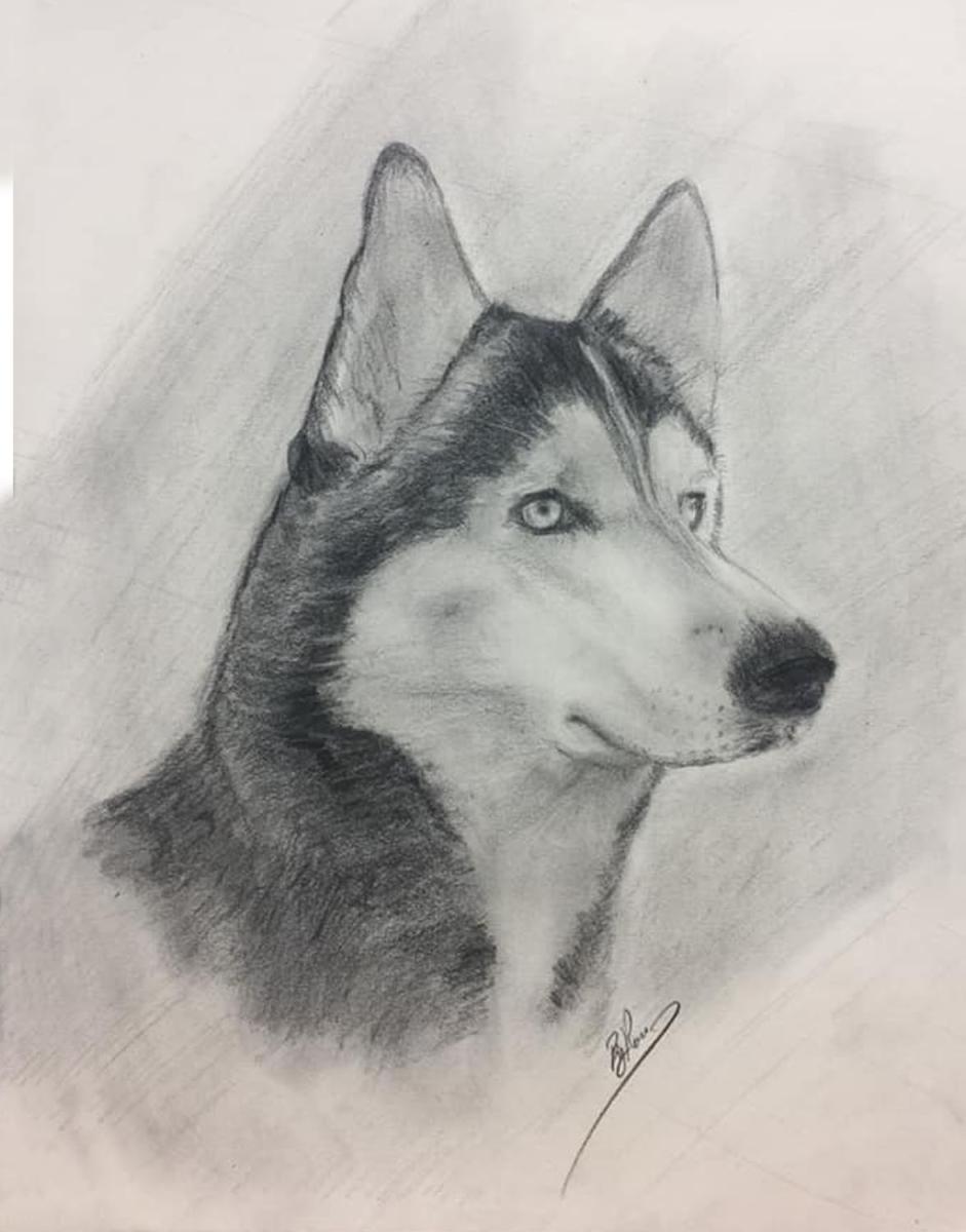 Husky